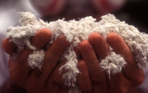 asbestos removal and hazardous materials